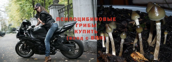 каннабис Армянск